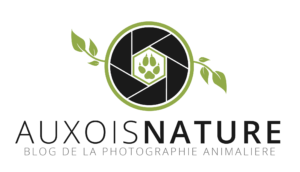 Auxois Nature - Le Blog de la photographie animalière - Régis Moscardini