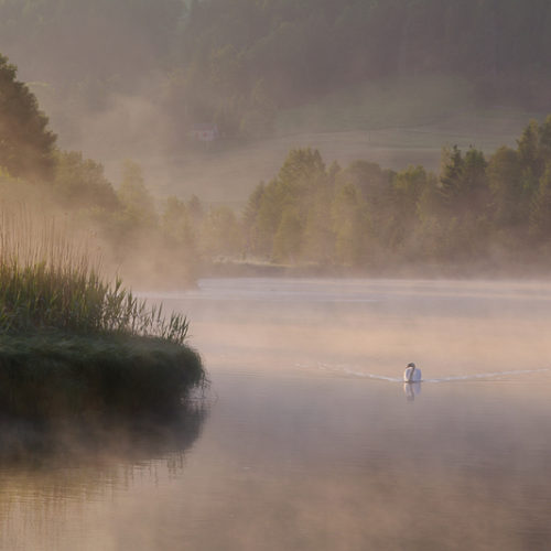 Paysage - Nature - Top 10 N°4 - Playoffs de la Photo 2018