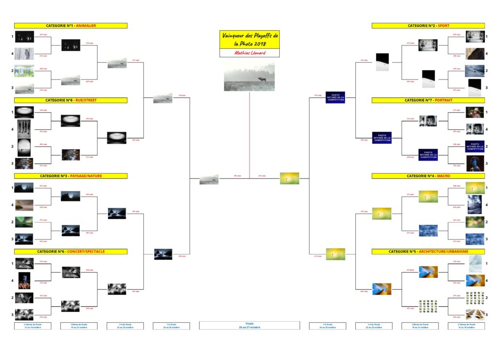 Playoffs de la Photo 2018 - Tableau de la phase finale - Finale - Vainqueur des Playoffs de la Photo 2018