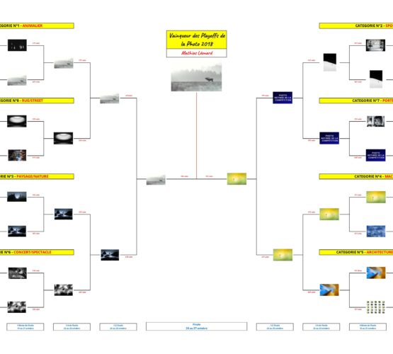 Playoffs de la Photo 2018 - Tableau de la phase finale - Finale - Vainqueur des Playoffs de la Photo 2018