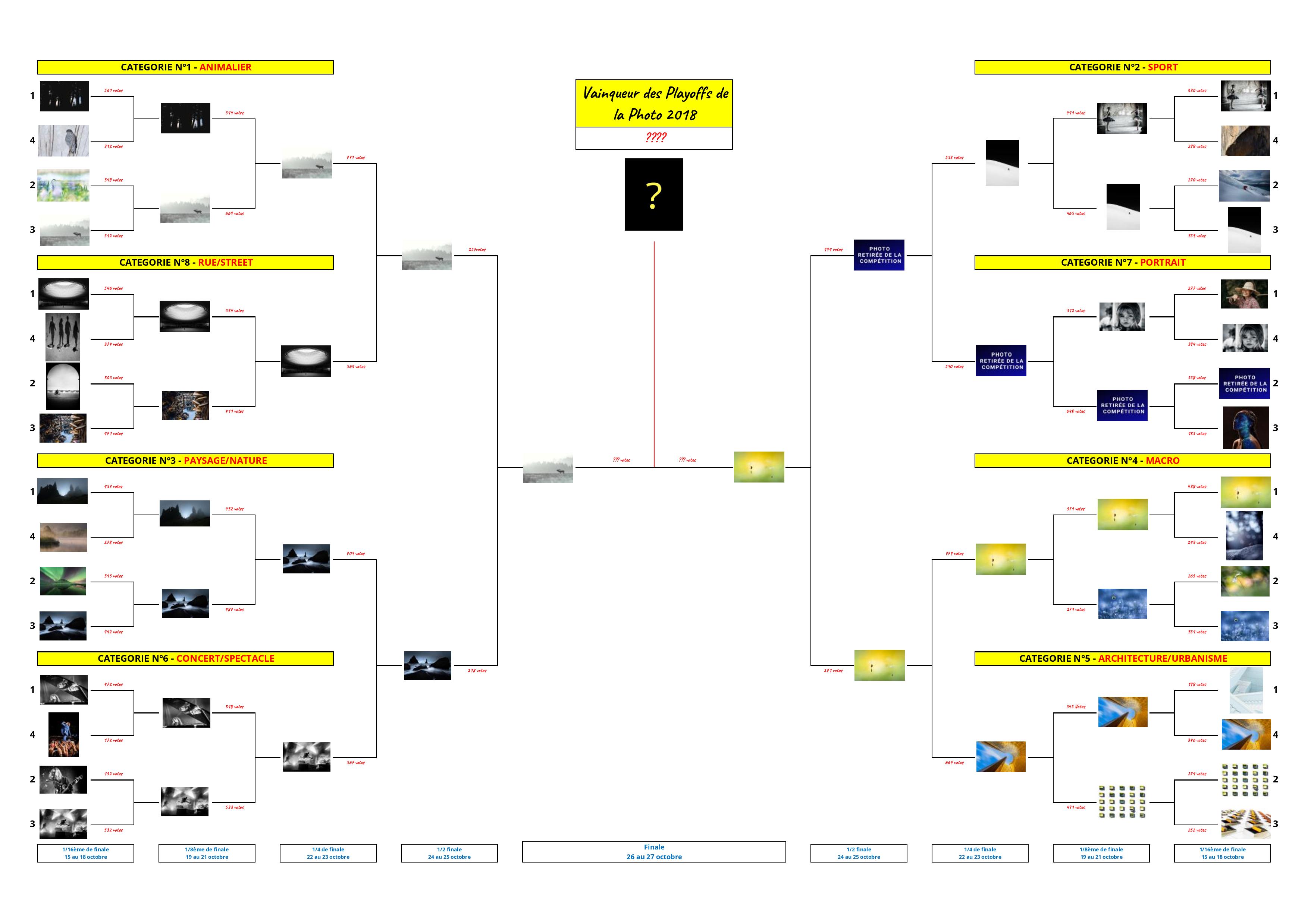 Playoffs de la Photo 2018 - Tableau de la phase finale - Finale - Vainqueur des Playoffs de la Photo 2018