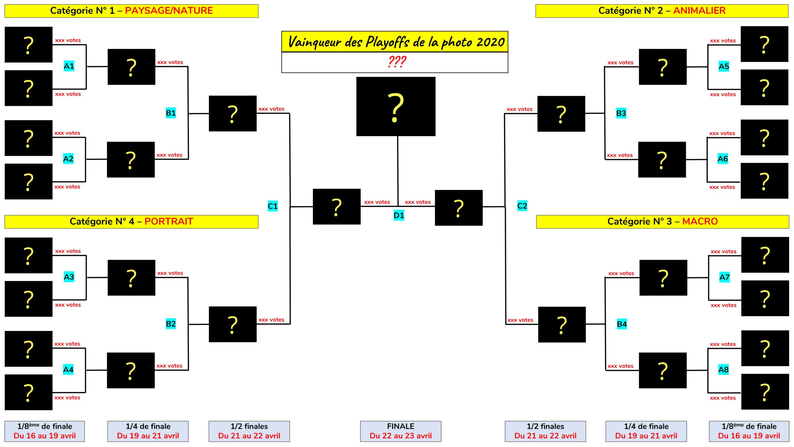 Playoffs de la Photo 2020 - Tableau de la phase finale - Concours photo